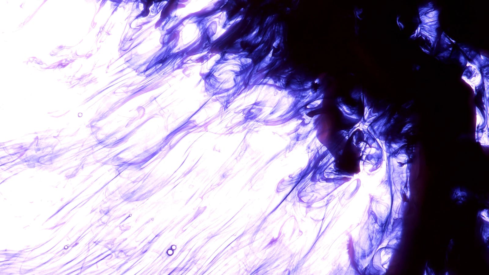 Bg Videos, Download The BEST Free 4k Stock Video Footage & Bg HD Video