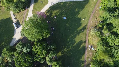 Top View of People Enjoying a Day in the Park 