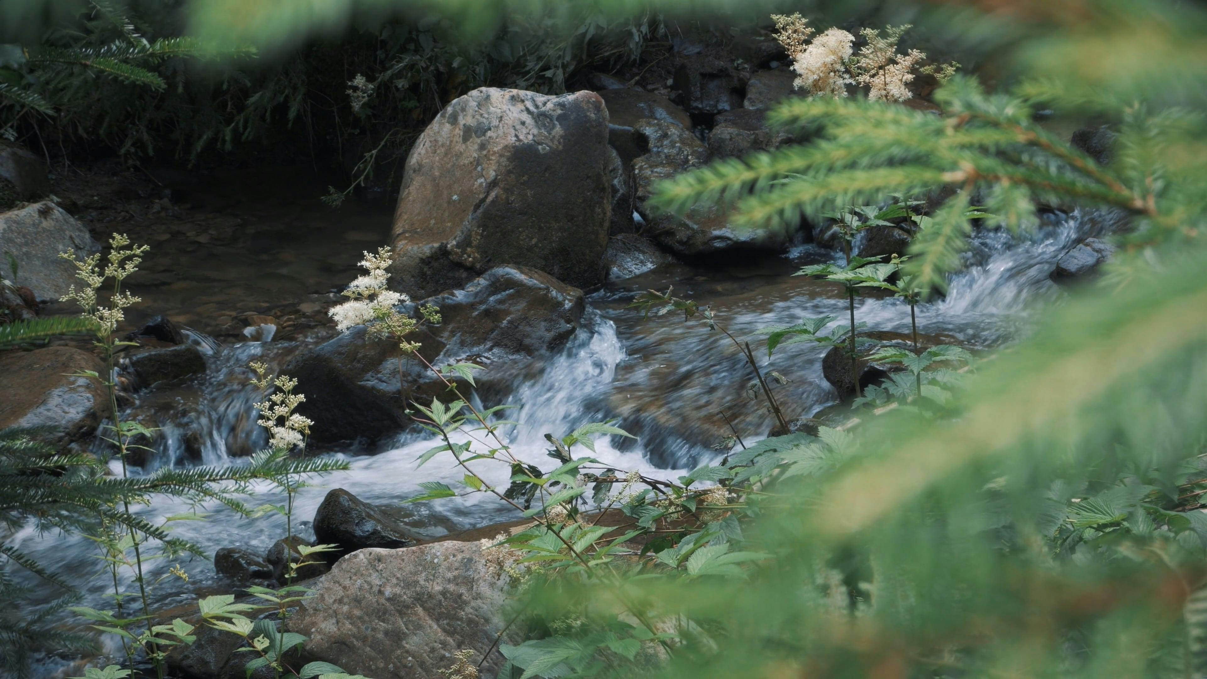 Eddy Currents Videos Download The Best Free 4k Stock Video Footage