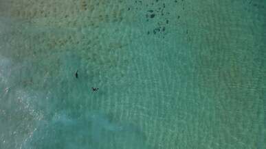 aerial view of two men swimming in the ocean