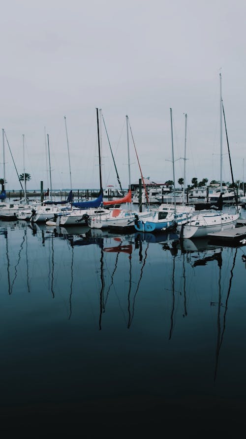 A Row of Sailboats Moored under a Grey Sky 