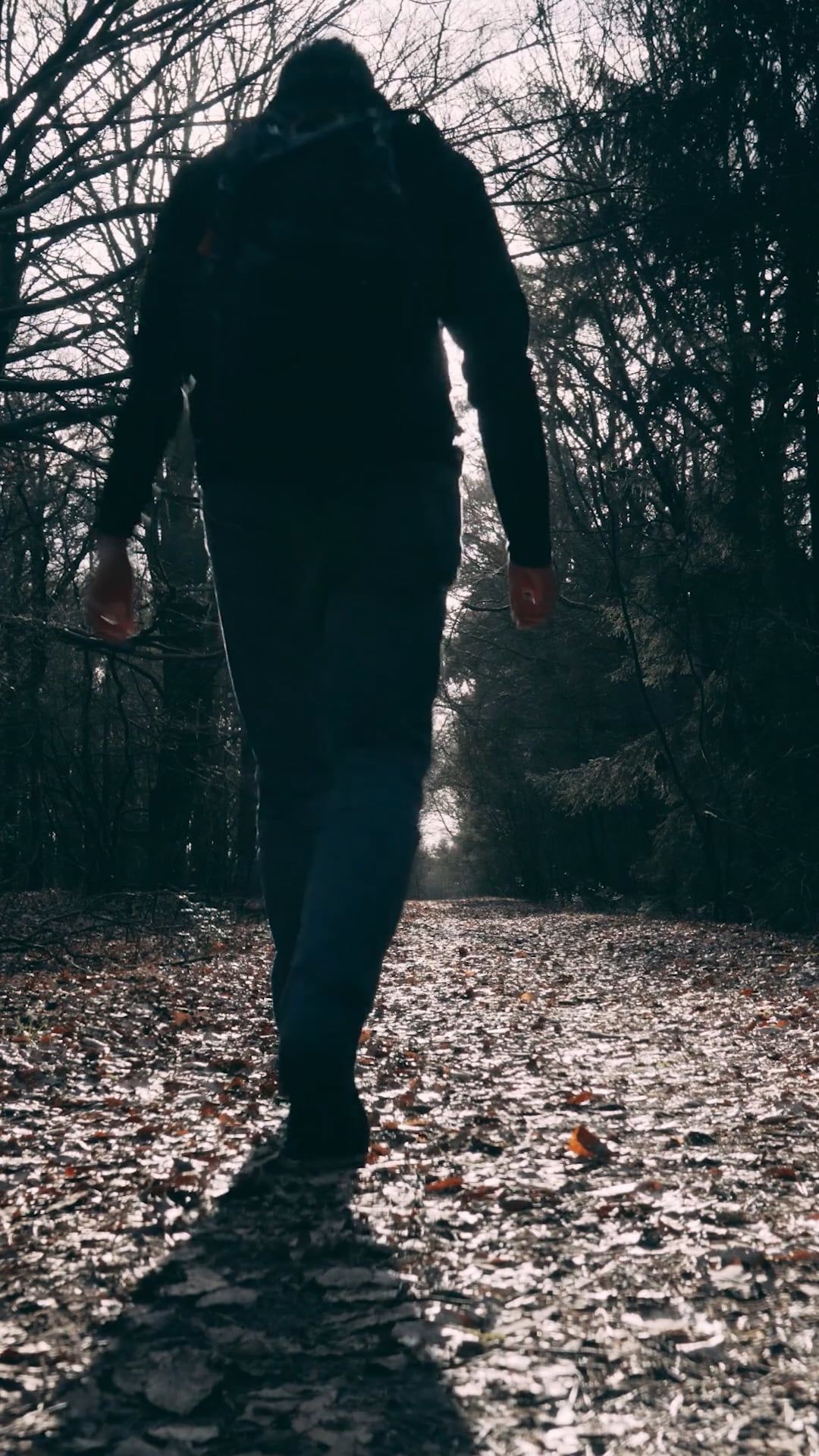 A person walking down a path in the woods Free Stock Video Footage ...