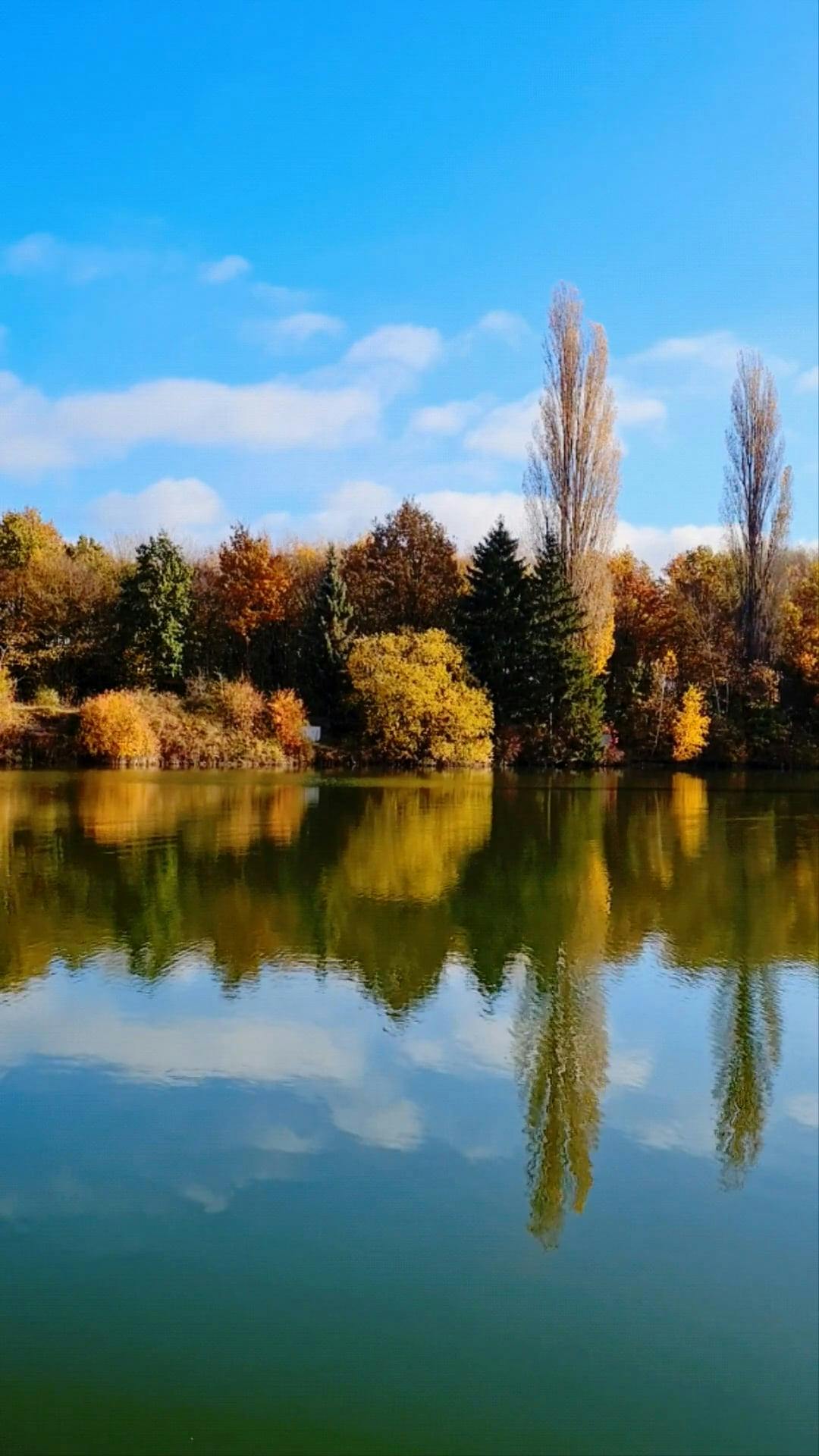 Video by Swetlana Kavalevich