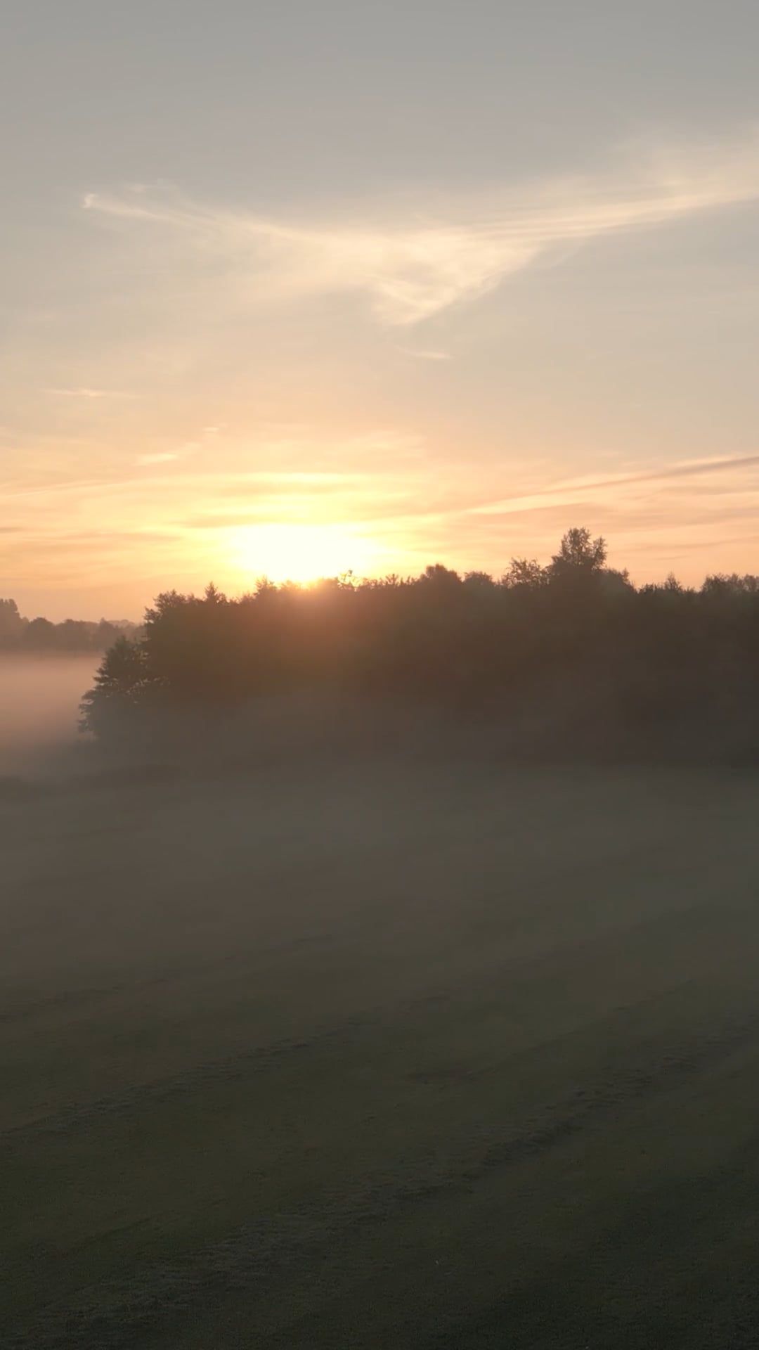 A sunrise over a field with trees and fog Free Stock Video Footage ...