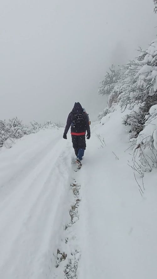 Back View of a Couple Hiking in the Snow 