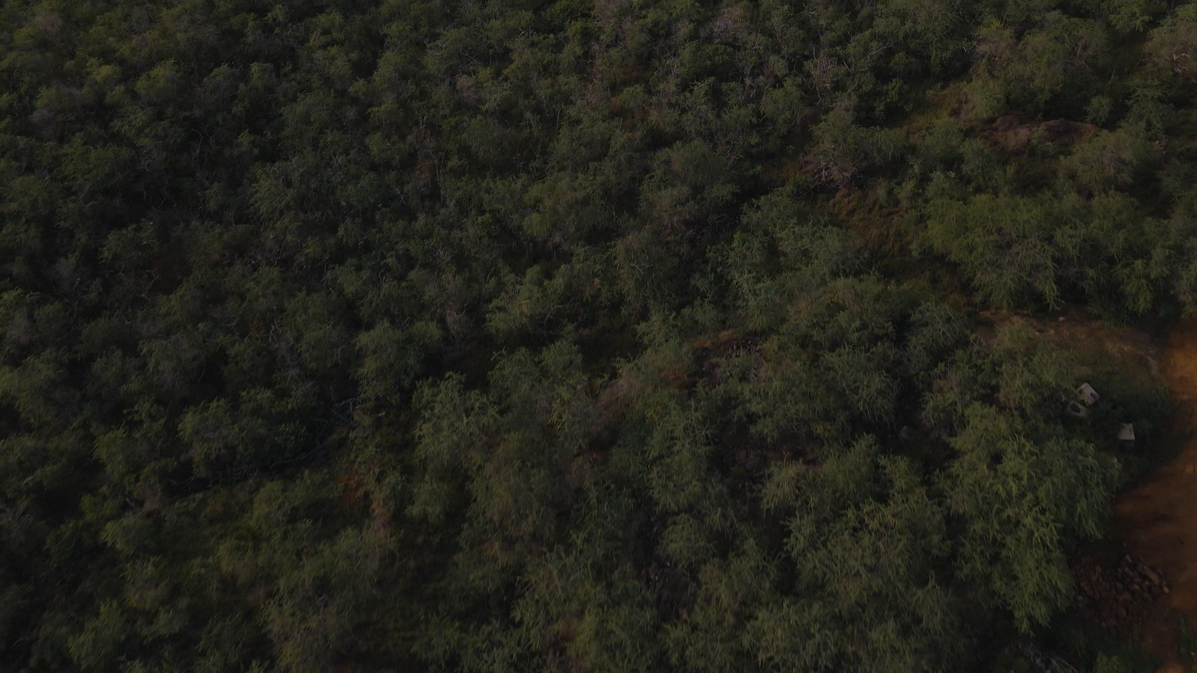 Drone Footage of a Forest and a Golf Course by the Sea Free Stock Video ...