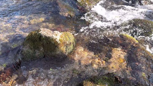 Water in a stream. Winter time water flows around stones and branches.