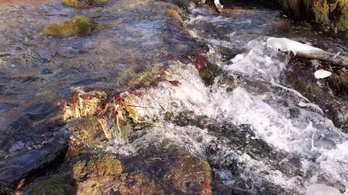 Water in a stream. Winter time water flows around stones and branches.