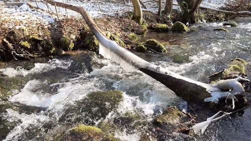 Water in a stream. Winter time water flows around stones and branches.