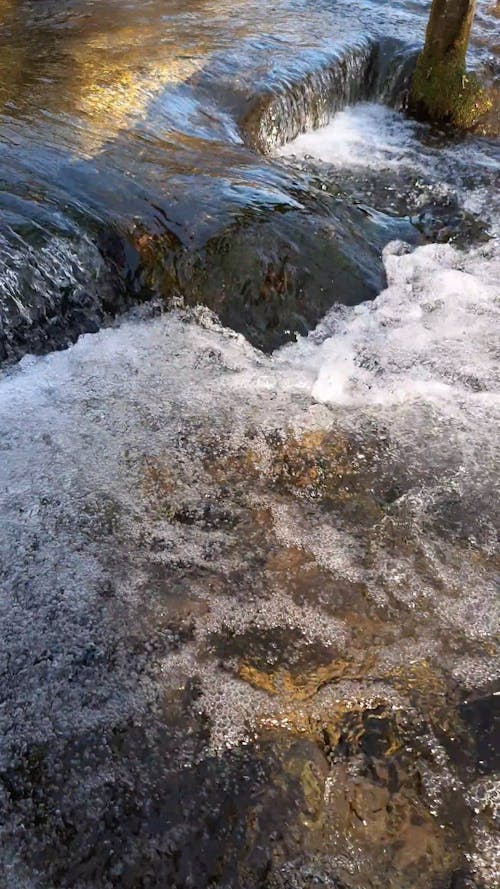 Water in a stream. Winter time water flows around stones and branches.