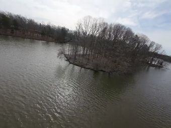 Fpv