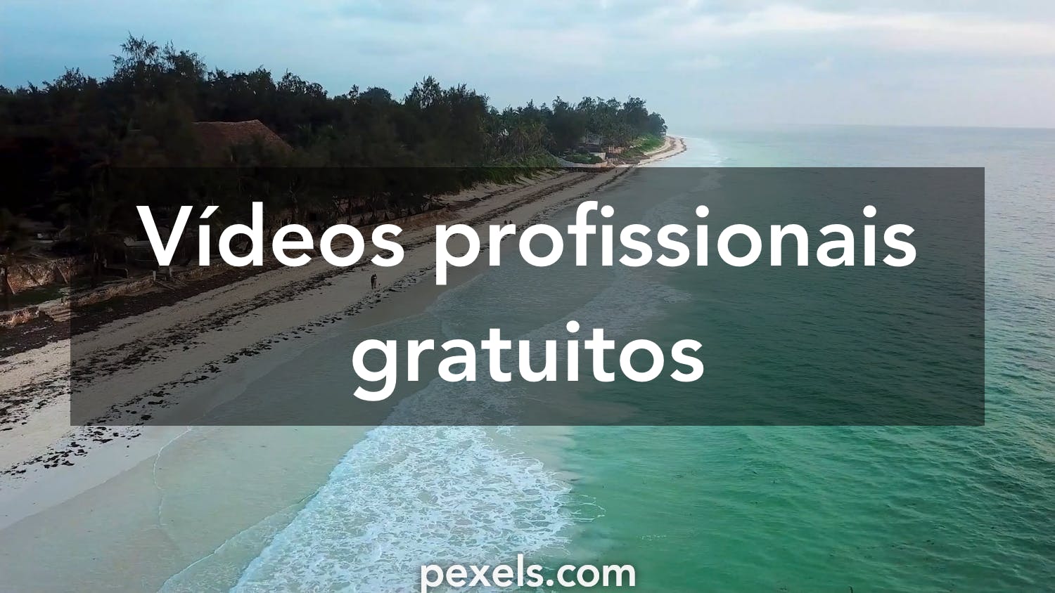 30.000+ melhores vídeos de Papel De Parede De Praia · Download 100% grátis  · Vídeos profissionais do Pexels
