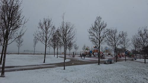 An Empty Park on a Snowy Winter Day