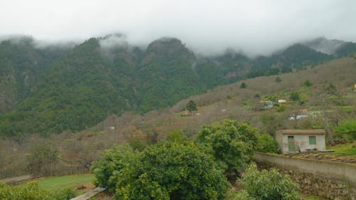 Fog over Green Mountains in La Orotava, Tenerife