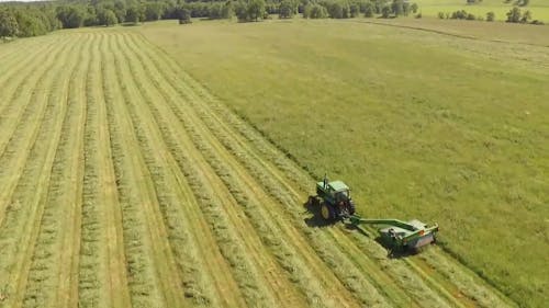 Tractor Cutting Grass In The Field