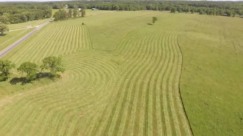 A Tractor Mowing The Field