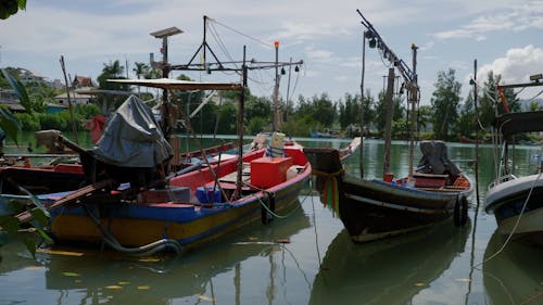 Fishing Boats Floating near the Coast