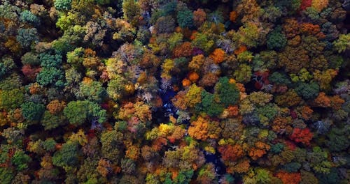 Tampilan Drone Warna Musim Gugur