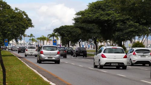 Time Lapse of Heavy Traffic on an Avenue 