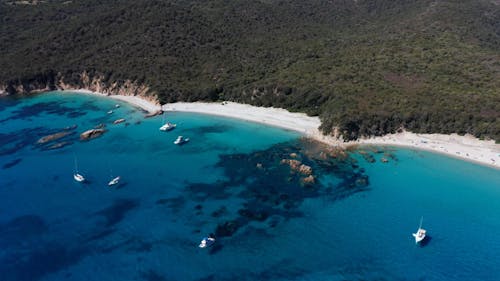 Drone View of Boats near the Coast of Corsica Island