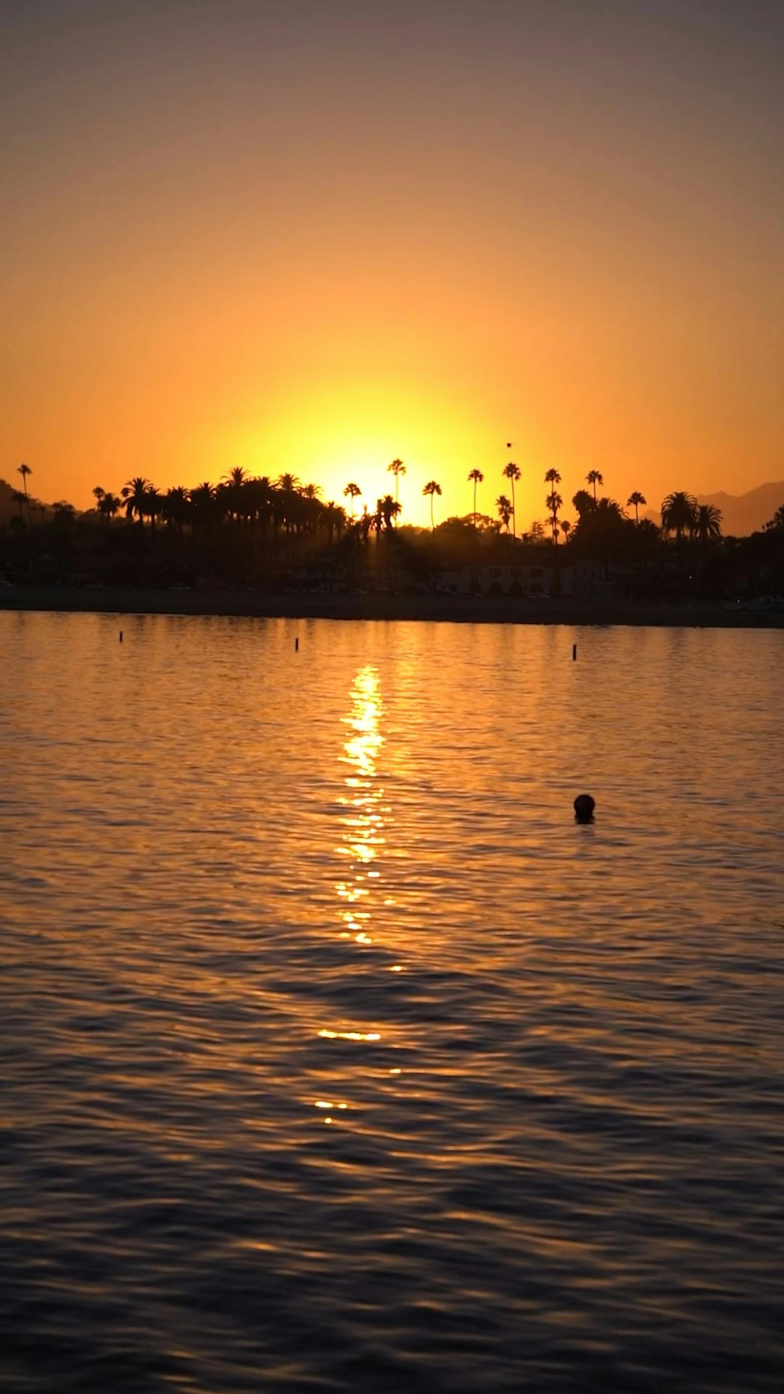 gold-coast-videos-download-the-best-free-4k-stock-video-footage-gold