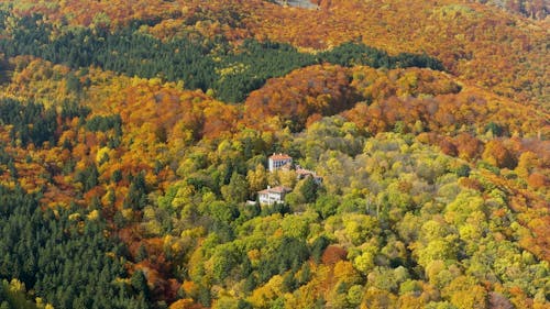 A Castle Surrounded by a Colorful Autumn Forest
