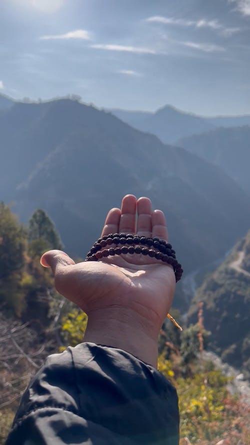 Himalayan Vibes