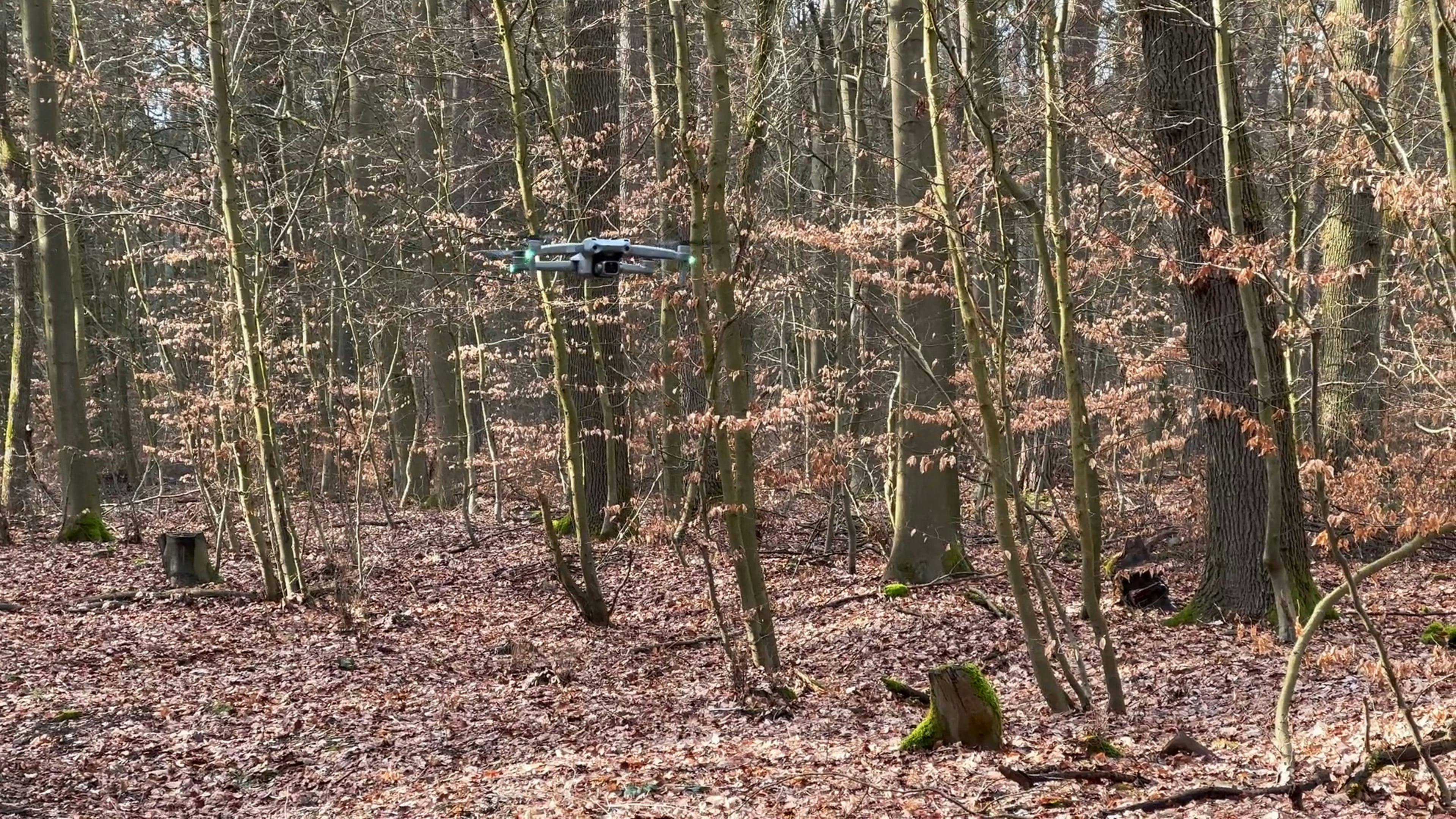 Video by wowi allinsky