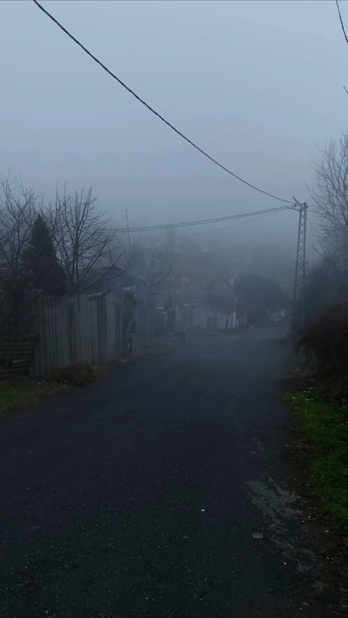 An Empty Street on a Misty Morning 