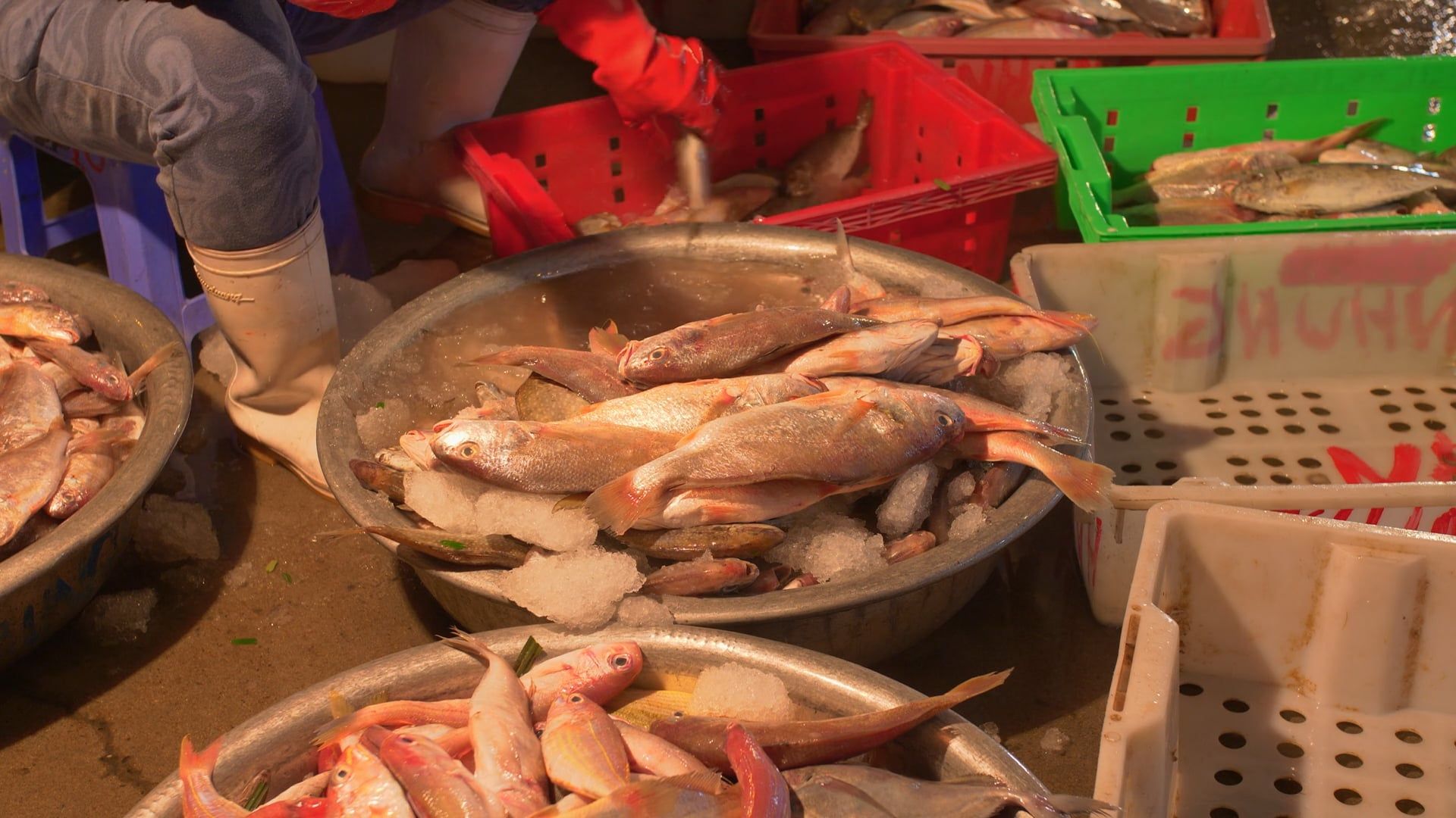 A Person Sorting Fresh Fish at a Street Market Free Stock Video Footage ...