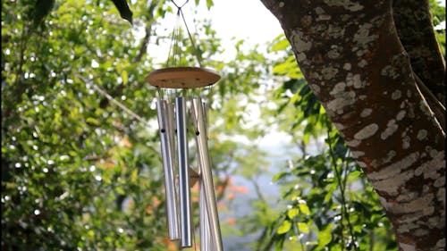 Wind Chime Hanging On A Tree