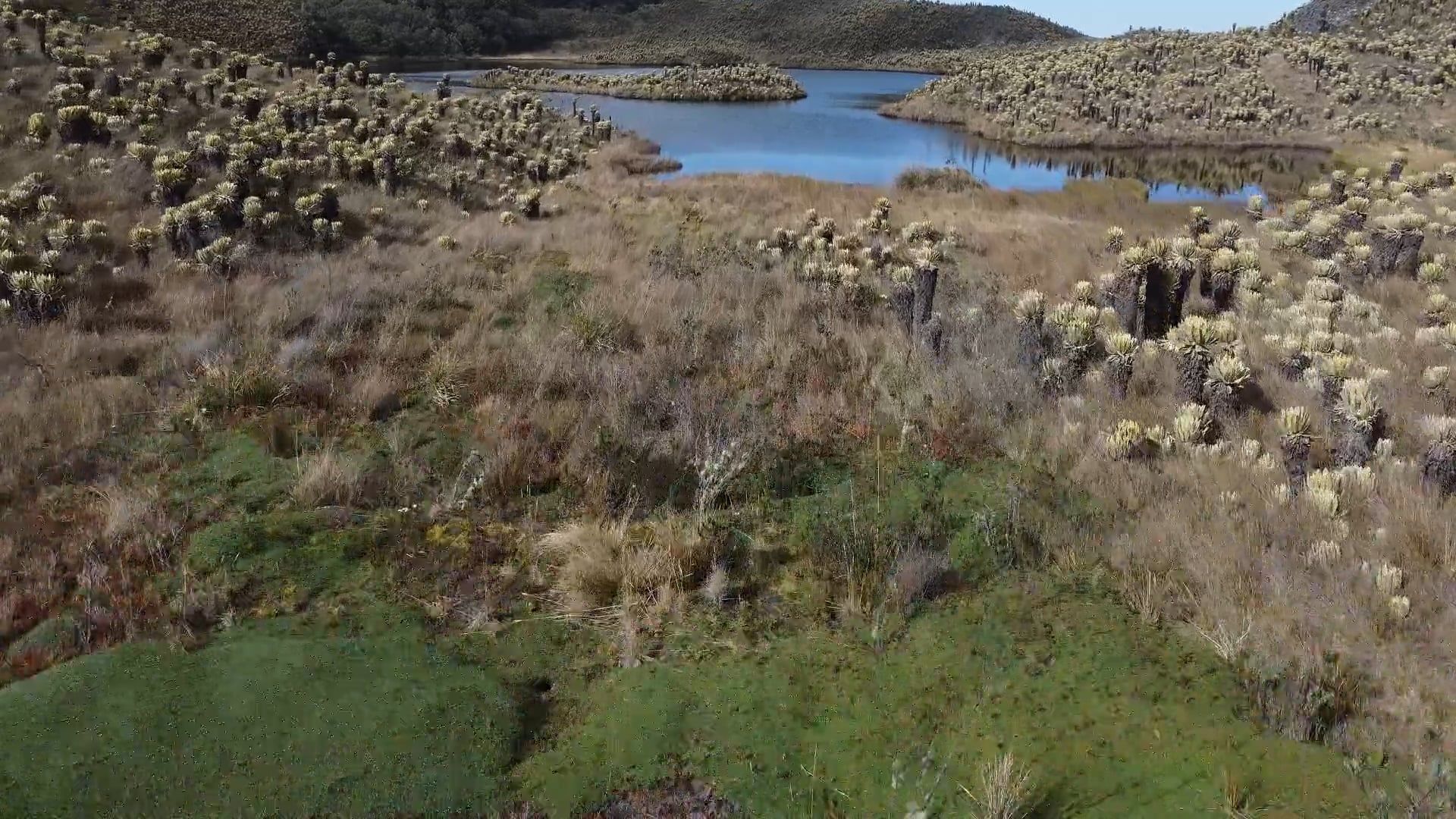 The lake's colors Free Stock Video Footage, Royalty-Free 4K & HD Video Clip