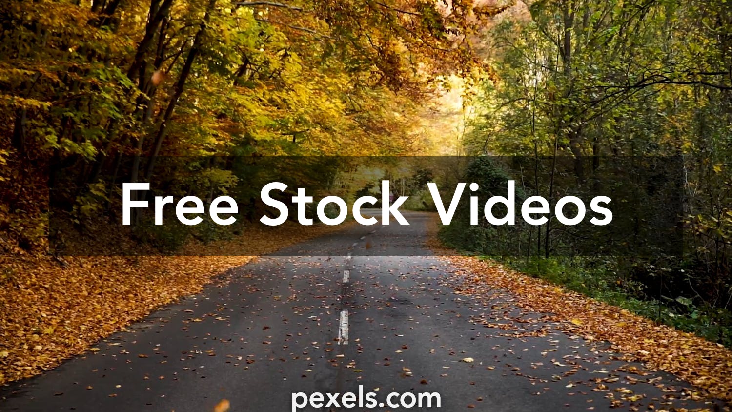 Daylight Videos, Download The BEST Free 4k Stock Video Footage ...
