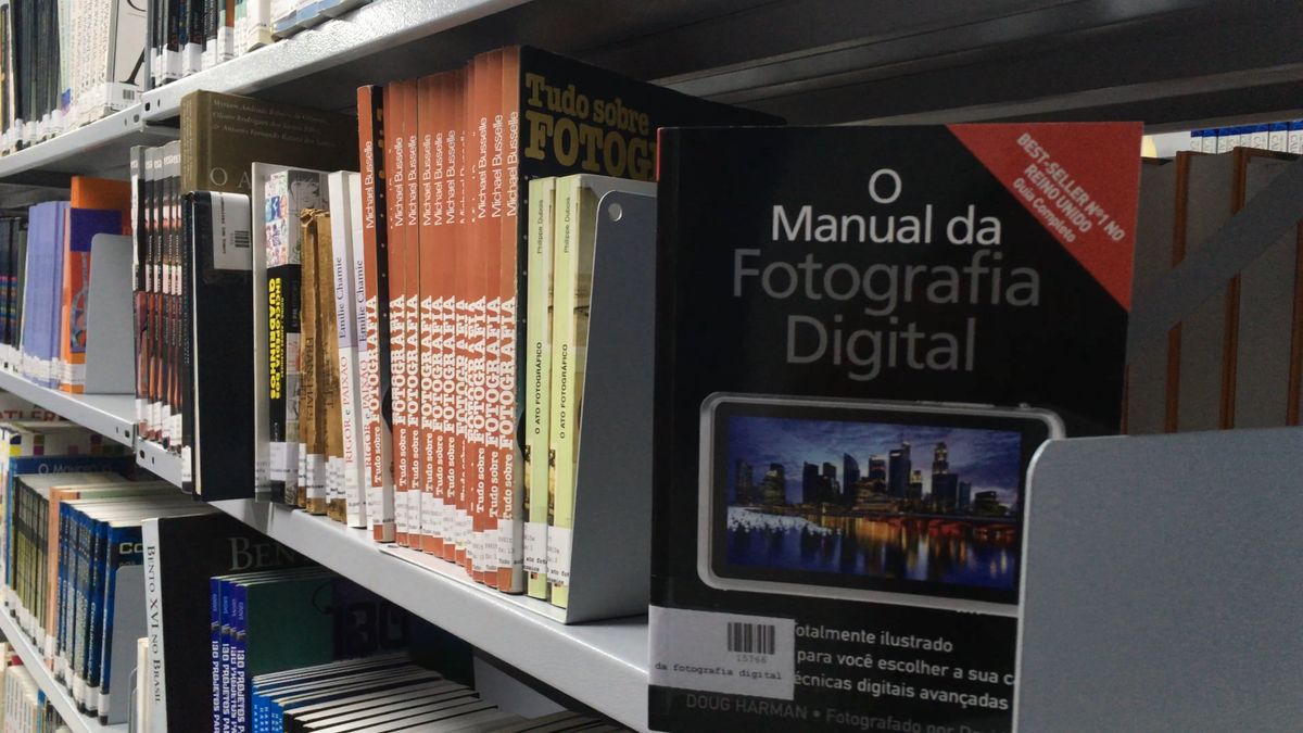 Video Inside A Library Free Stock Video Footage, Royalty-Free 4K & HD ...