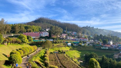 Ooty City View