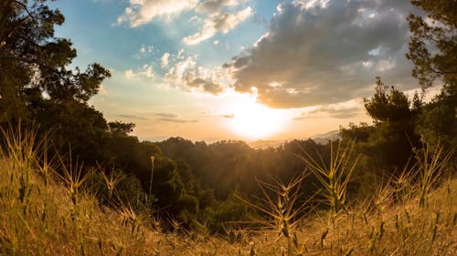 Epic Summer Sunset