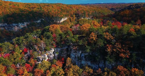 Couleurs D'automne Vives