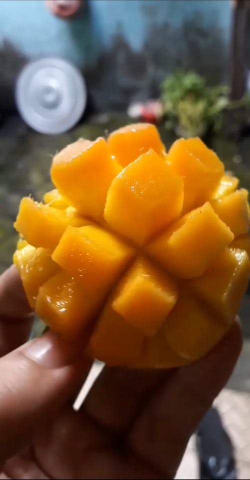 Pyszne żółte Mango