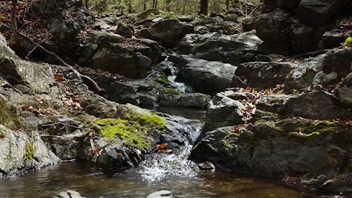 A Stream Flowing among Mossy Rocks 
