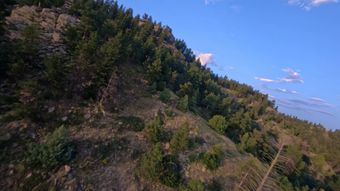 Fpv