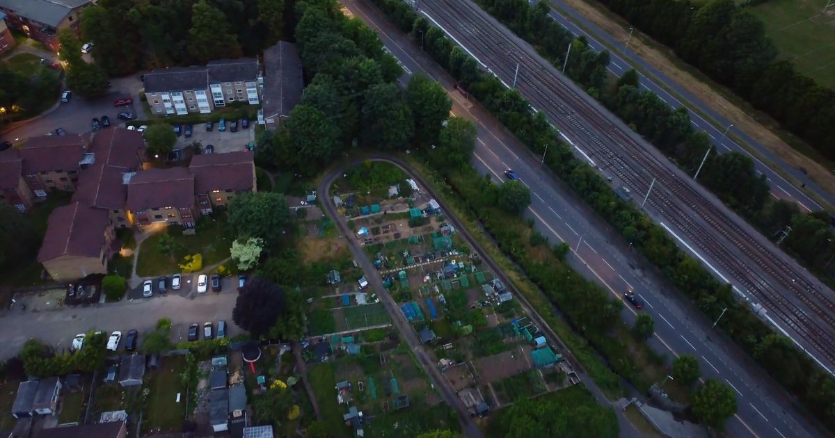 视频素材预览