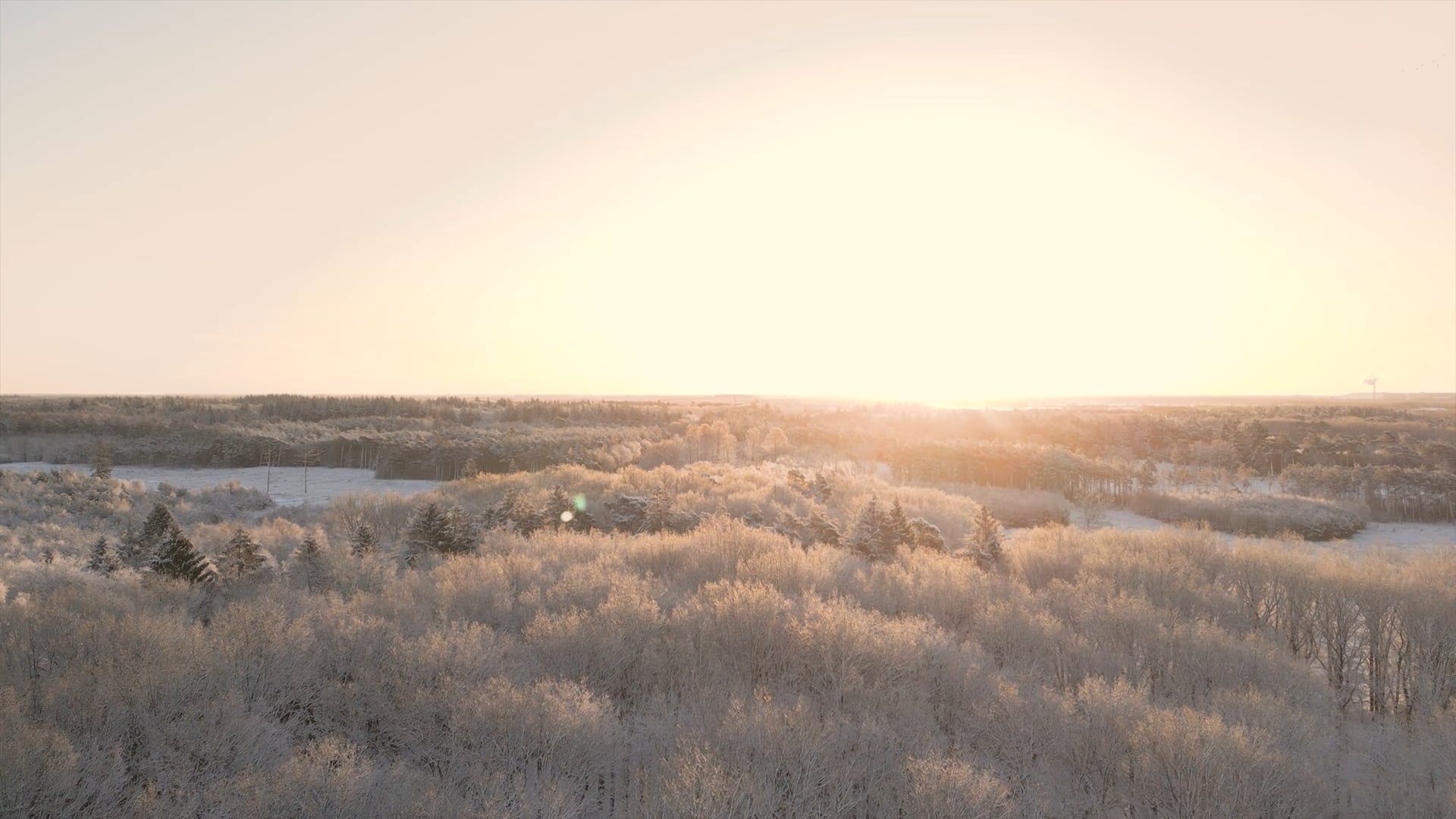 Aerial view of a winter landscape with trees and snow Free Stock Video ...