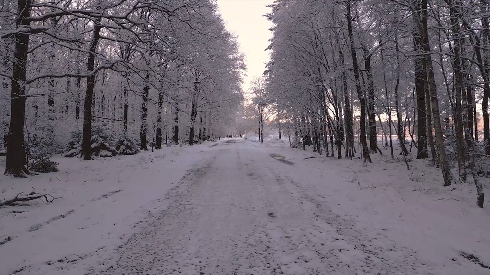 A road in the middle of a snowy forest Free Stock Video Footage ...