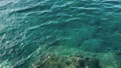 beautiful sea waves