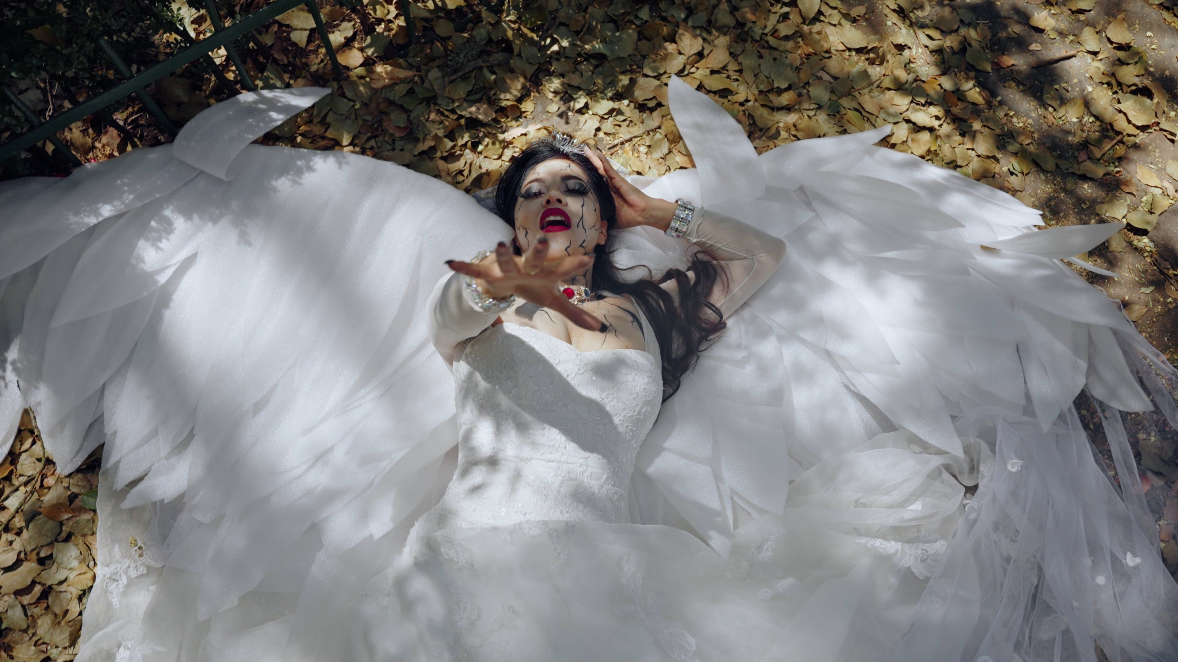 Fallen Angel Videos Download The Best Free 4k Stock Video Footage