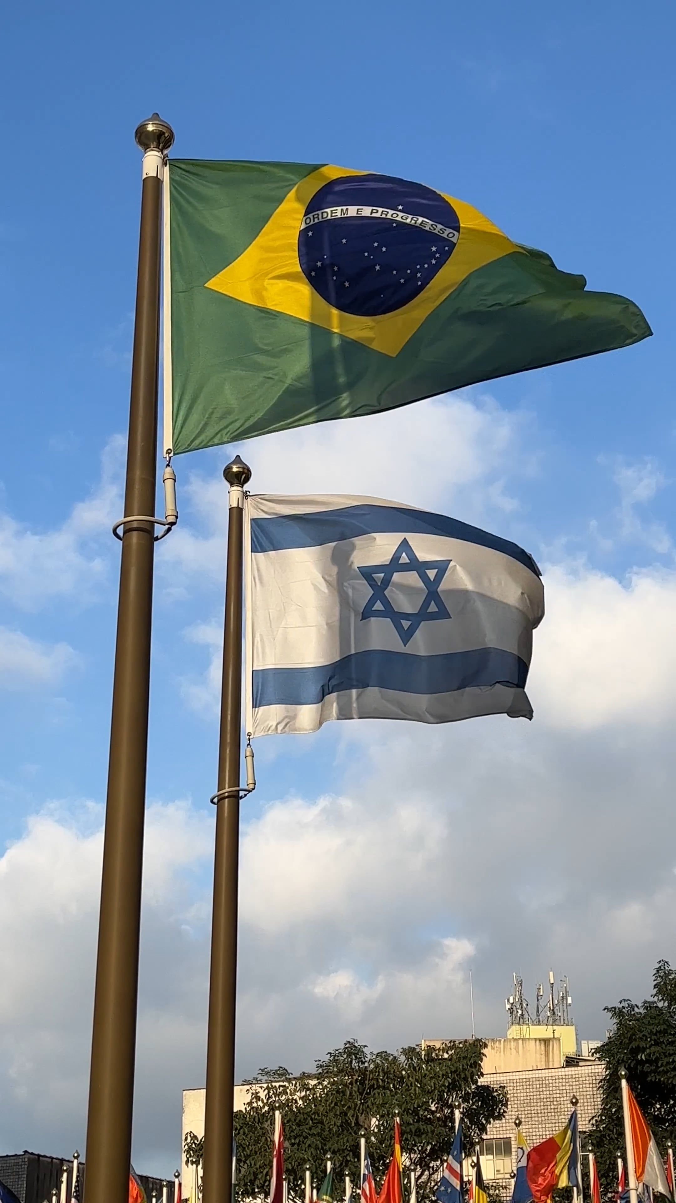 The National Flags of Brazil and Israel Waving on Poles Free Stock ...