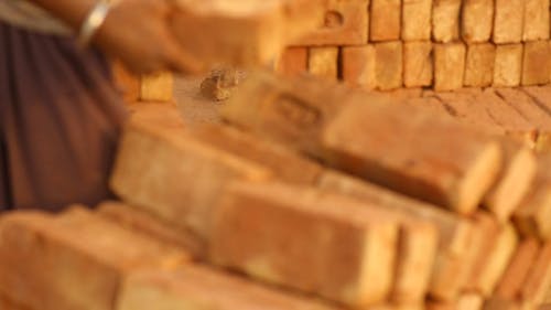 Close up of a Person Handling Bricks
