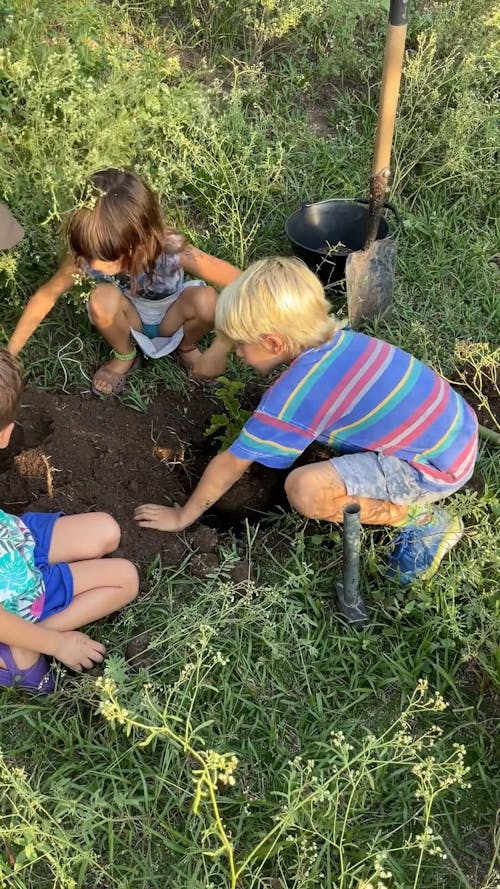 Three Children Planting a Tree 