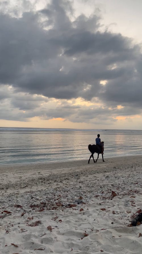 A Person Riding a Horse on the Beach at Sunset 