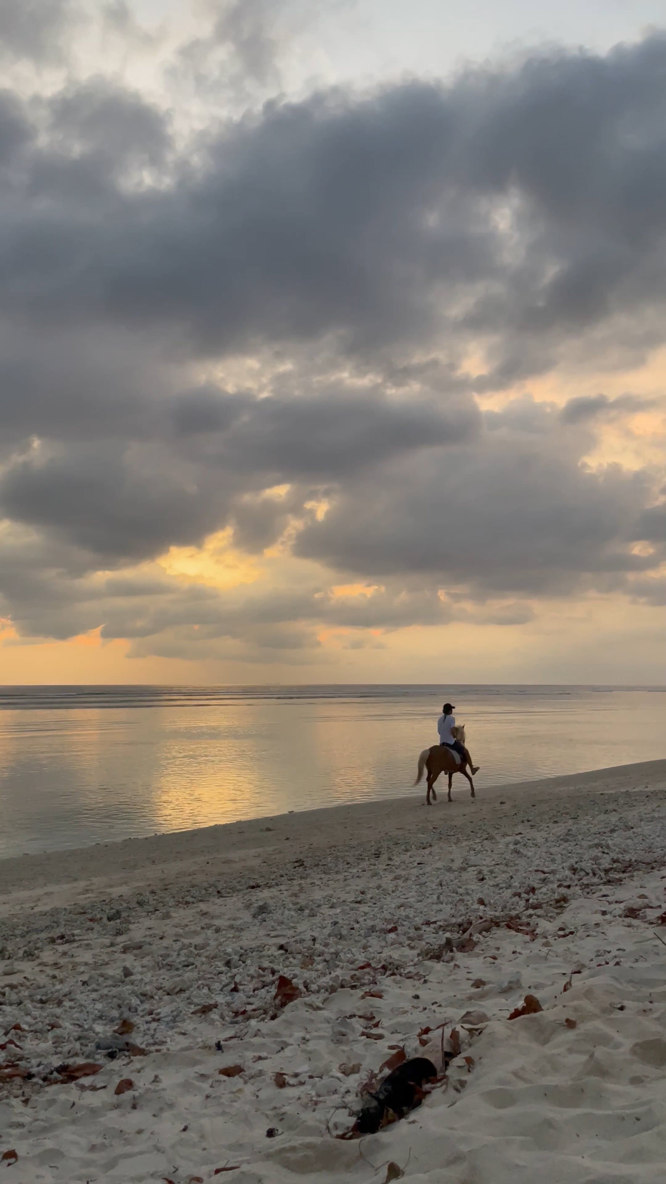 A beach with a sunset and clouds in the sky Free Stock Video Footage ...